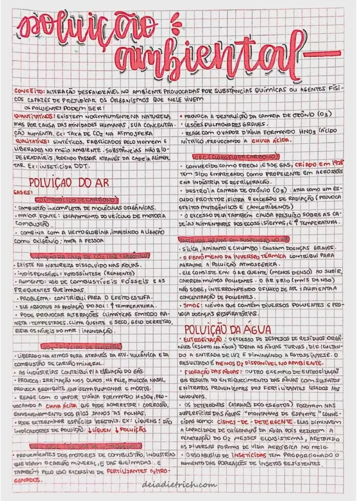 Mapa Mental de 1ª Lei de Mendel