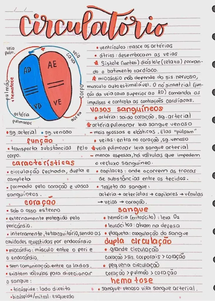 Mapa Mental de Física